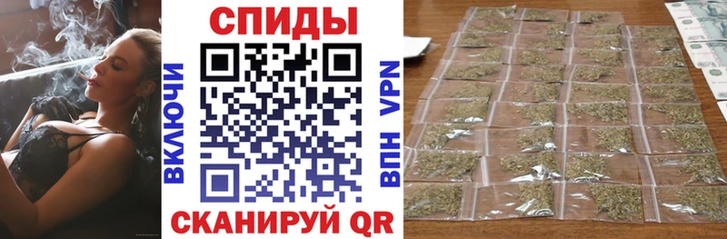площадка клад  Пересвет  Бутират буратино 