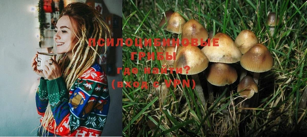 прущие крисы Няндома