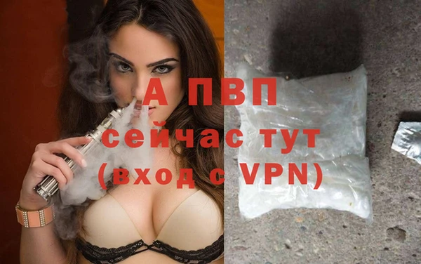 apvp Балахна