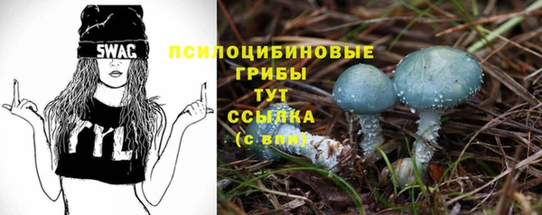 не бодяженный Нязепетровск
